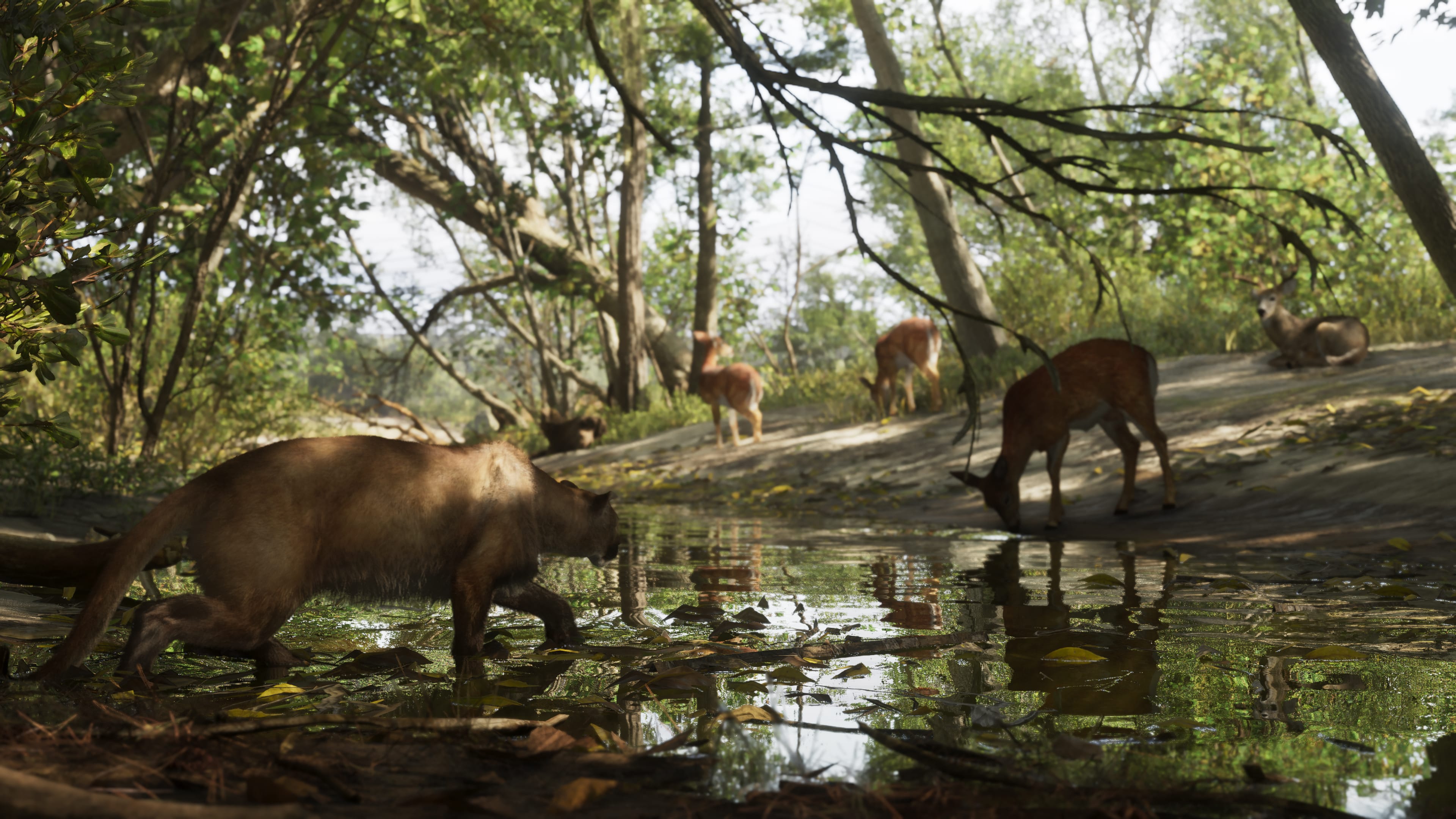 Mount Kalaga National Park 4